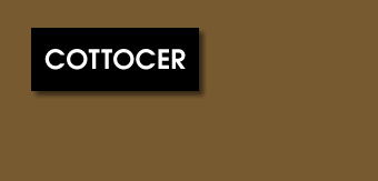 Cottocer Tile