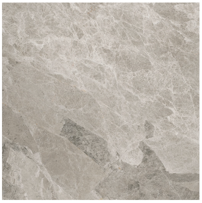 12"x12" Phantasie Gray Polished Marble Tile