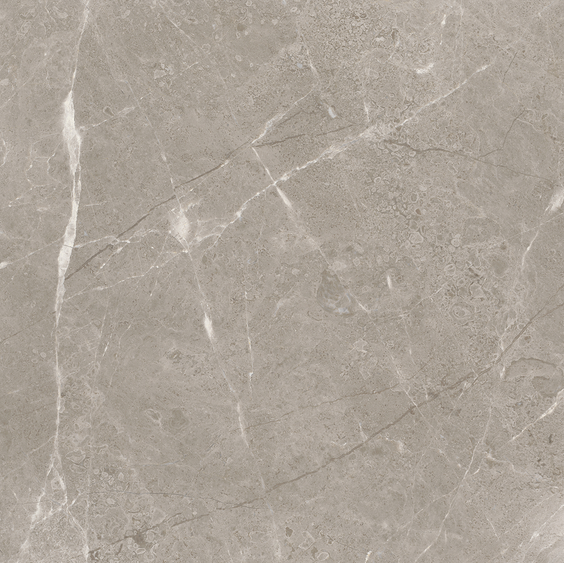 12"x12" Ritz Gray Polished Marble Tile