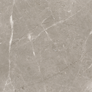 12"x12" Ritz Gray Polished Marble Tile