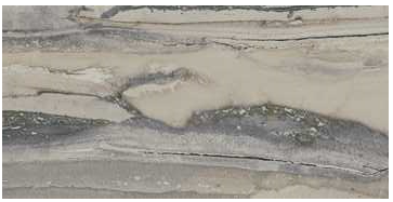 Happy Floors - 12"x24" Exotic Stone Fossil Polished Tile (Rectified Edges)