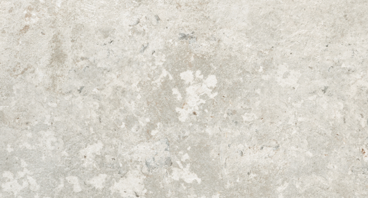 Unicom Starker - 12"x24" Debris Flint Porcelain Tile (Rectified Edges)