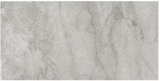 Anatolia - 24"x48" La Marca Paradiso Argento Polished Porcelain Tile (Rectified Edges)