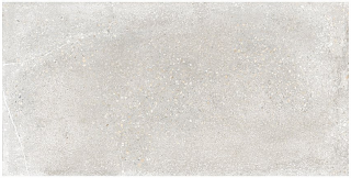 Iris - 12"x24" Brooklyn Cemento Argent Honed Porcelain Tile (Rectified Edges)