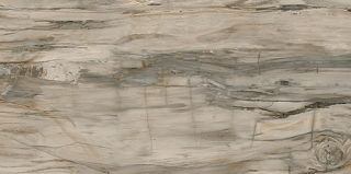 Mariner - 12"x24" Petrified Wood NATURAL Porcelain Tile (Satin Finish - Rectified Edges)