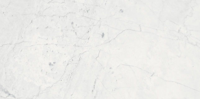 12"x24" ETERNA BIANCO Honed Marble Tile