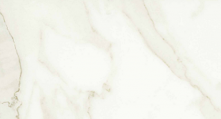 Unicom Starker - 24"x48" Muse CALACATTA Polished Porcelain Tile (Rectified Edges)