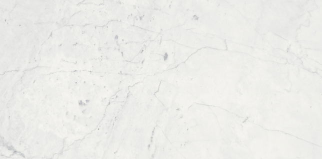 18"x36" ETERNA BIANCO Honed Marble Tile