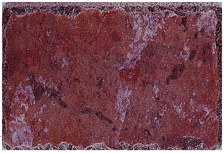 Happy Floors - 16"x24" Pietra D'Assisi Rosso Porcelain Tile