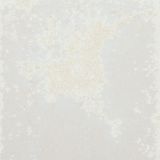 Happy Floors - 6"x6" Vibrant White Glossy Ceramic Wall Tile